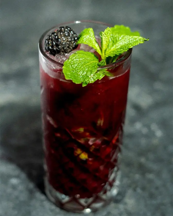 Virgin Blackberry Mojito